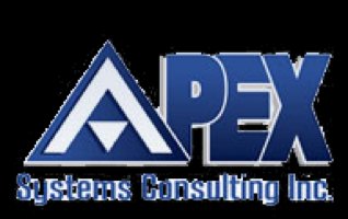 Apex Systems Consulting Inc